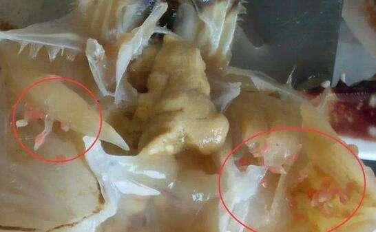 孕妇到底能不能吃螃蟹？营养师给出了科学结论，赶紧记住这几句话