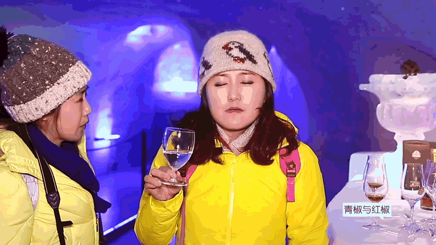 去全球最高最冷的酒吧不醉不归