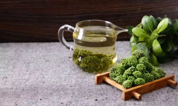 胶股蓝和三七花的功效 绞股蓝,三七花