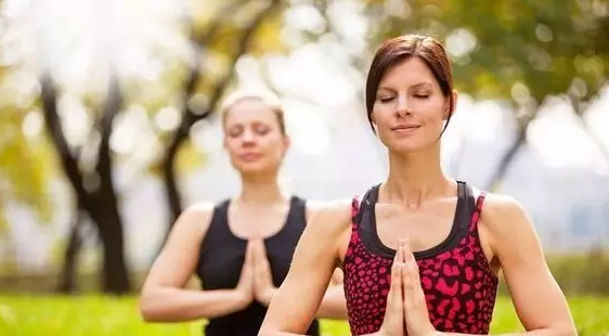 胶股蓝和三七花的功效 绞股蓝,三七花