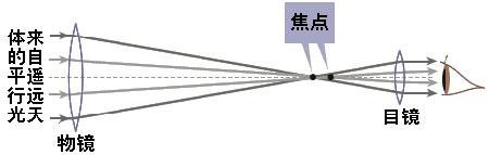 中考物理常考易错点技巧总结之——光学易错点