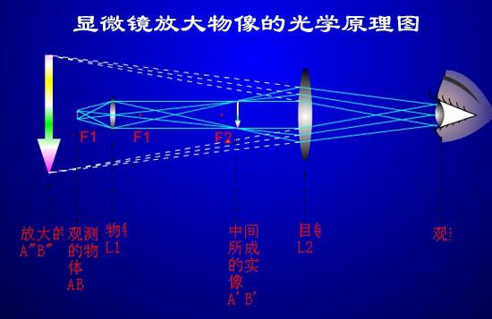 中考物理常考易错点技巧总结之——光学易错点