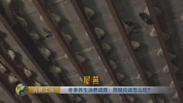 燕窝应该怎么选才是最好的 2026年燕窝怎么选才是好自己熬