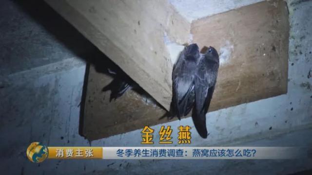 燕窝怎么挑选 2026年燕窝怎么挑选辨别好坏