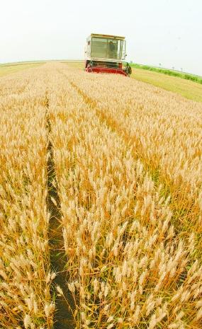 侧优化（供给侧结构优化的运算法则）