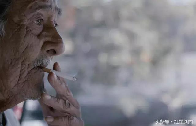 花胶利润 2026年花胶成本