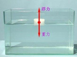浮力产生的原因有哪些（初二物理这个视频让孩子一下子明白了浮力产生的原因）