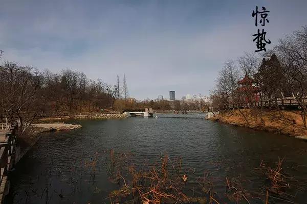 花胶汤变绿 2026年花胶煲出来汤是什么颜色 花胶汤变绿 2026年花胶煲出来汤是什么颜色