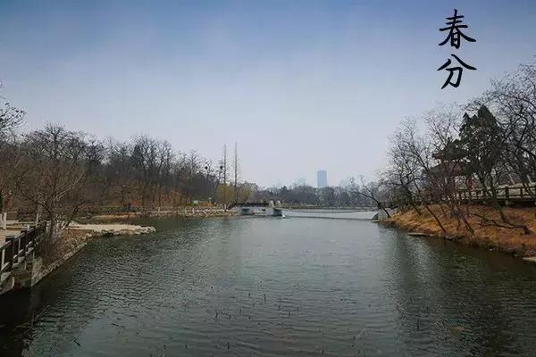 花胶汤变绿 2026年花胶煲出来汤是什么颜色