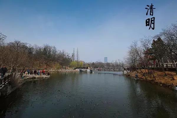 花胶汤变绿 2026年花胶煲出来汤是什么颜色