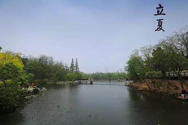 花胶汤变绿 2026年花胶煲出来汤是什么颜色 花胶汤变绿 2026年花胶煲出来汤是什么颜色