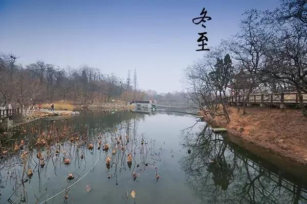 花胶汤变绿 2026年花胶煲出来汤是什么颜色