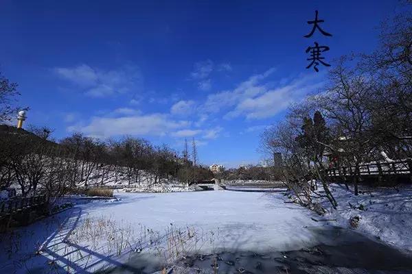 花胶汤变绿 2026年花胶煲出来汤是什么颜色