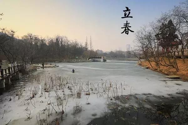 花胶汤变绿 2026年花胶煲出来汤是什么颜色