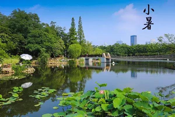 花胶汤变绿 2026年花胶煲出来汤是什么颜色 花胶汤变绿 2026年花胶煲出来汤是什么颜色