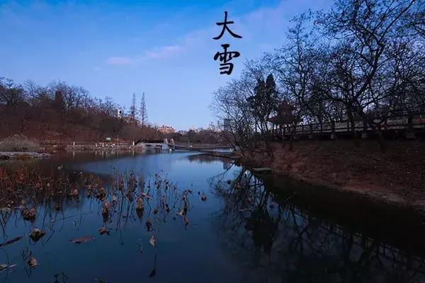 花胶汤变绿 2026年花胶煲出来汤是什么颜色 花胶汤变绿 2026年花胶煲出来汤是什么颜色