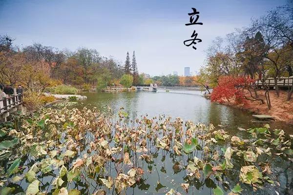 花胶汤变绿 2026年花胶煲出来汤是什么颜色