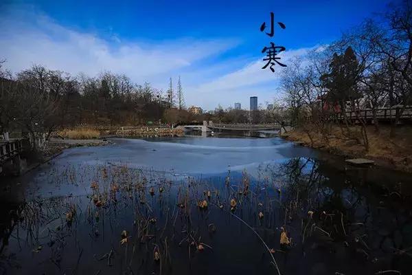 花胶汤变绿 2026年花胶煲出来汤是什么颜色