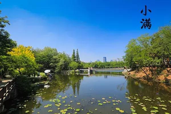 花胶汤变绿 2026年花胶煲出来汤是什么颜色 花胶汤变绿 2026年花胶煲出来汤是什么颜色