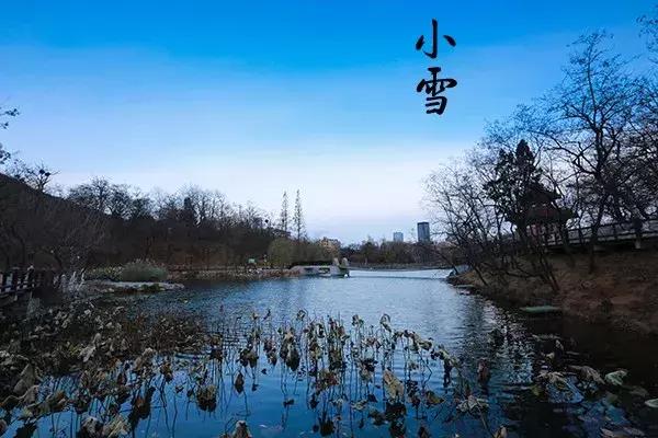 花胶汤变绿 2026年花胶煲出来汤是什么颜色 花胶汤变绿 2026年花胶煲出来汤是什么颜色