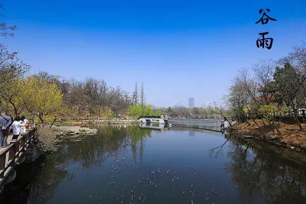 花胶汤变绿 2026年花胶煲出来汤是什么颜色 花胶汤变绿 2026年花胶煲出来汤是什么颜色