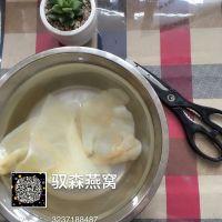 冰糖鱼胶怎么吃 2026年冰糖鱼胶吃什么好