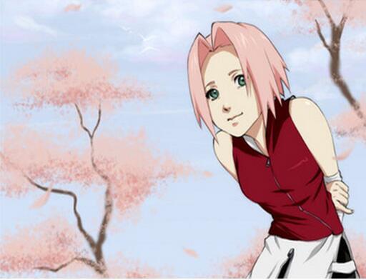 海贼vs火影 人气角色大pk，你是谁的饭