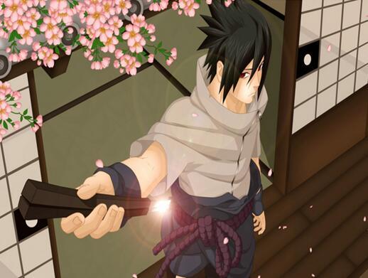 海贼vs火影 人气角色大pk,你是谁的饭