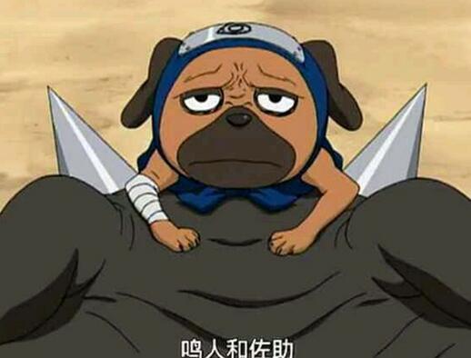 海贼vs火影 人气角色大pk,你是谁的饭