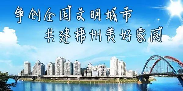 梧州市信息惠民服务总平台正式上线，“智慧梧州”建设驶入了“加速快车道”