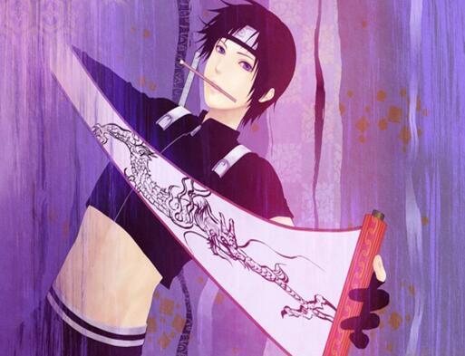 海贼vs火影 人气角色大pk，你是谁的饭