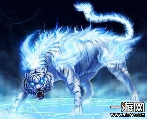 造梦西游3青龙养成记（造梦西游4第五期联盟阵营招募开启）