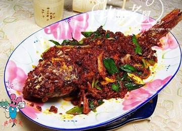 灵芝花胶炖瘦肉汤做法及功效 2025年灵芝花胶炖瘦肉汤做法及功效视频