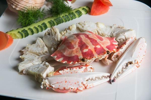 鲍汁海参花胶的做法 2026年海参鲍鱼花胶做法大全