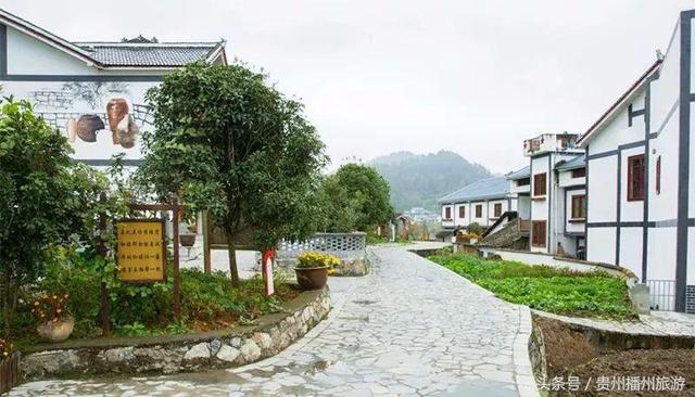 播州旋律丨“山色空濛云初雨 白墙黛瓦燕飞去”——最美田园居