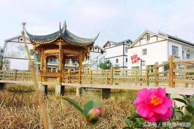 播州旋律丨“山色空濛云初雨 白墙黛瓦燕飞去”——最美田园居