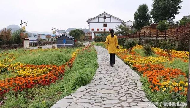 播州旋律丨“山色空濛云初雨 白墙黛瓦燕飞去”——最美田园居