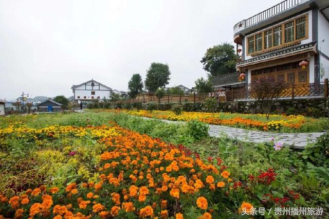 播州旋律丨“山色空濛云初雨 白墙黛瓦燕飞去”——最美田园居