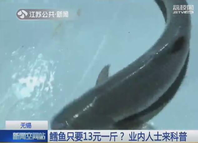 深海鳕鱼多少钱一斤 2026年深海鳕鱼多少钱一斤啊