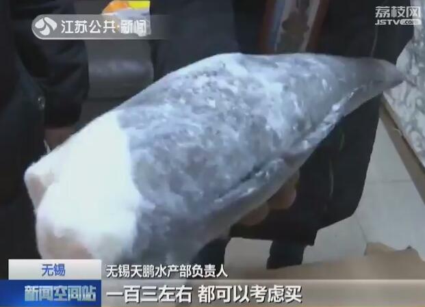 深海鳕鱼多少钱一斤 2026年深海鳕鱼多少钱一斤啊