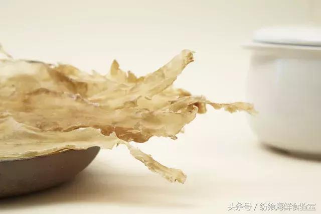 鳕鱼胶泡发后的图片 2026年鳕鱼胶泡发好的样子 鳕鱼胶泡发后的图片 2026年鳕鱼胶泡发好的样子