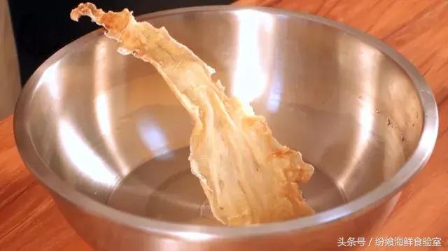鳕鱼胶泡发后的图片 2026年鳕鱼胶泡发好的样子
