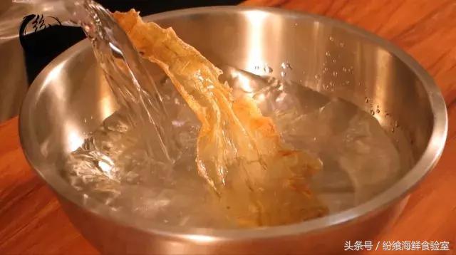 泡发鳕鱼胶最好的方法 2026年泡发鳕鱼胶最好的方法视频 泡发鳕鱼胶最好的方法 2026年泡发鳕鱼胶最好的方法视频