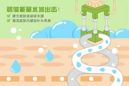 花皙蔻芦荟胶有激素吗 2026年花皙蔻芦荟胶成分表