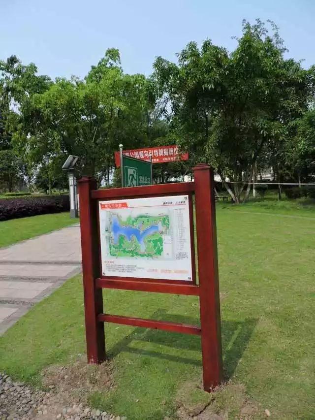 「青榜样」多元生活里的大自然守护者——李一凡