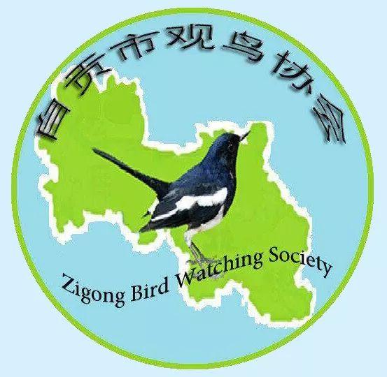 「青榜样」多元生活里的大自然守护者——李一凡