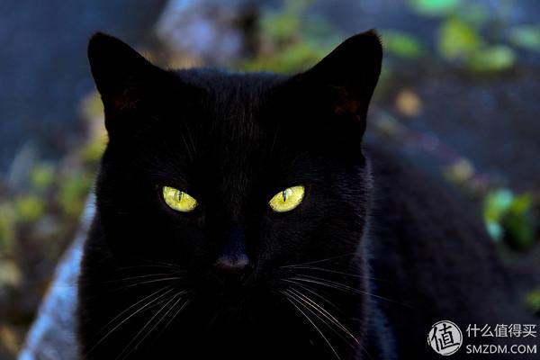 彩色宝石的初级科普与选购：猫眼、金绿宝石、亚历山大石、亚历山大猫眼篇