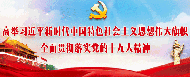 鸡蛋和花胶有什么区别 2026年鸡蛋和花胶有什么区别图片