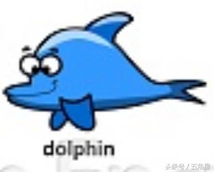 42个动物的英语单词！dolphin？lion？starfish？你都认识吗？