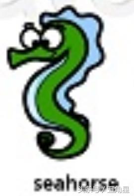 42个动物的英语单词！dolphin？lion？starfish？你都认识吗？